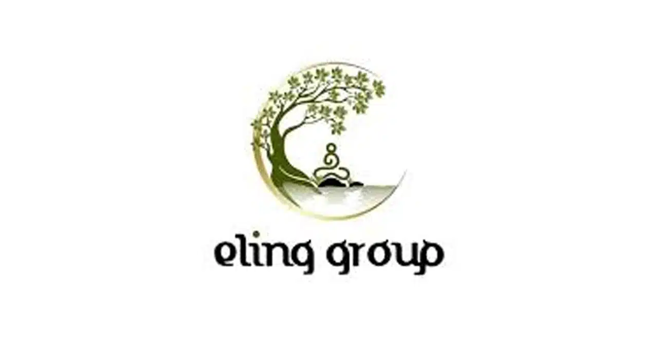 Eling group